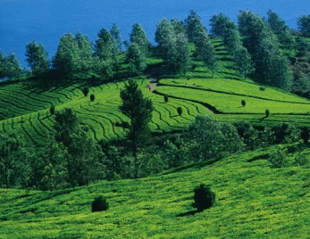 South India tour packages